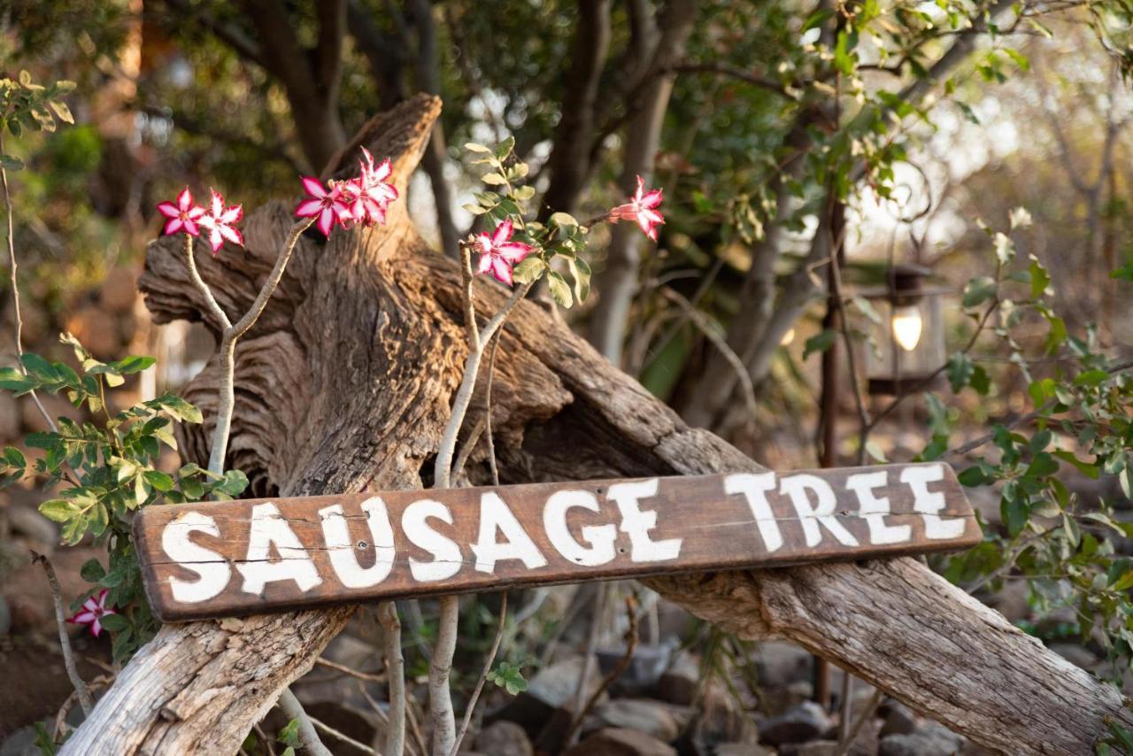 Sausage Tree Safari Camp Balule Game Reserve Zewnętrze zdjęcie