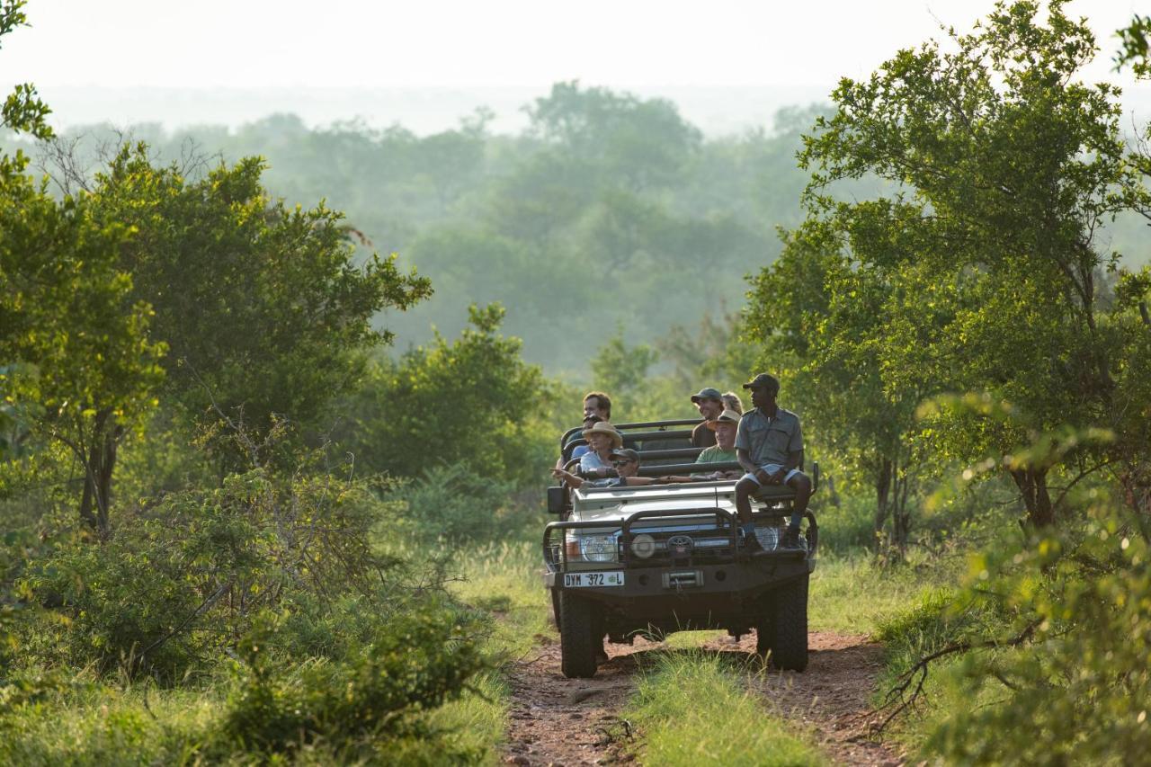 Sausage Tree Safari Camp Balule Game Reserve Zewnętrze zdjęcie