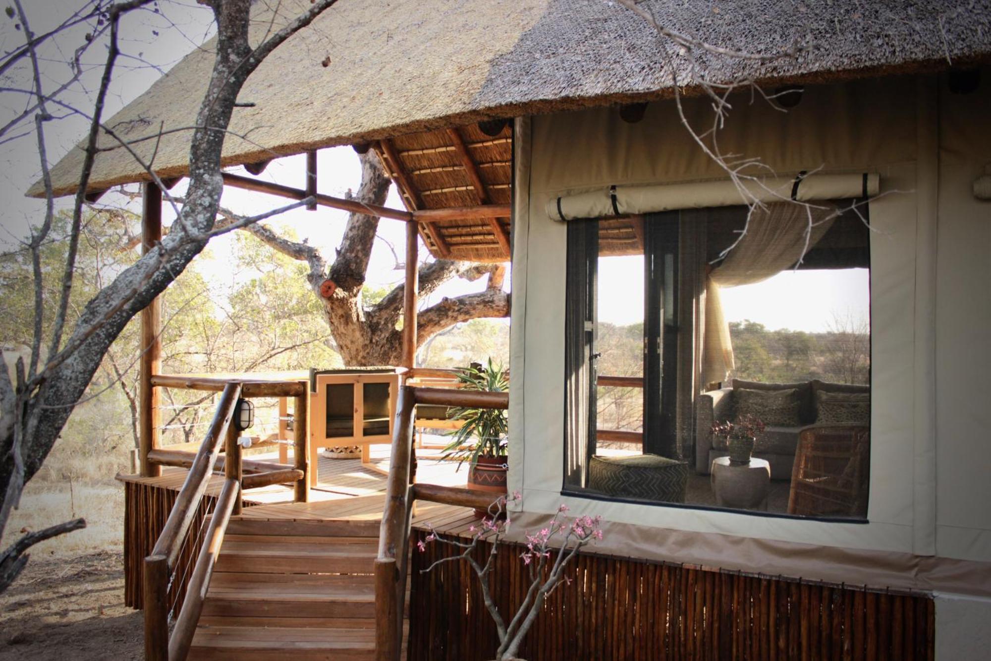 Sausage Tree Safari Camp Balule Game Reserve Zewnętrze zdjęcie